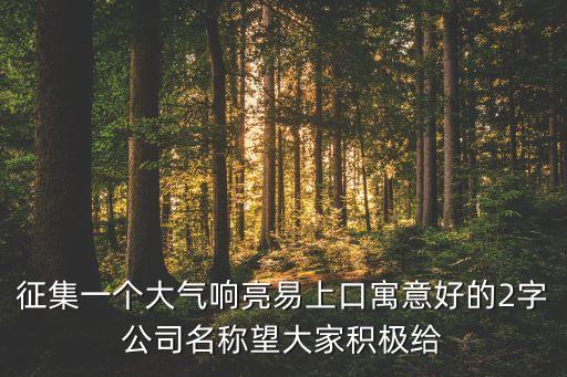 征集一个大气响亮易上口寓意好的2字公司名称望大家积极给