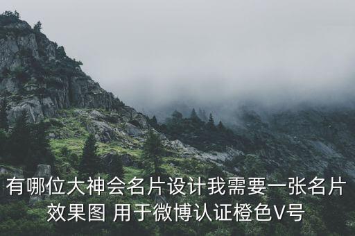 有哪位大神会名片设计我需要一张名片效果图 用于微博认证橙色V号