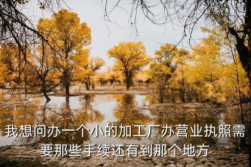 我想问办一个小的加工厂办营业执照需要那些手续还有到那个地方