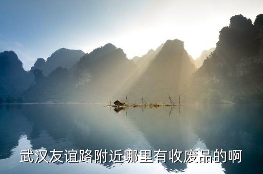 武汉友谊路附近哪里有收废品的啊