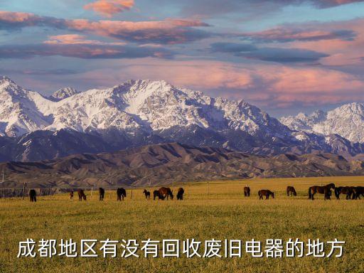 成都地区有没有回收废旧电器的地方