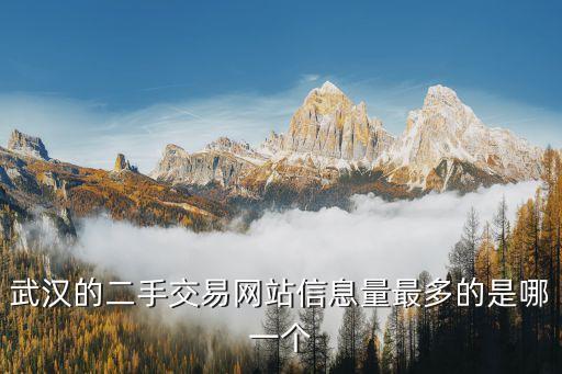 武汉的二手交易网站信息量最多的是哪一个