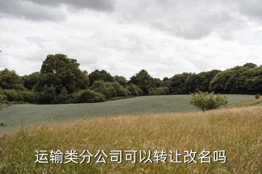 公司转让名字变更吗，已经注册的公司可以变更名称吗