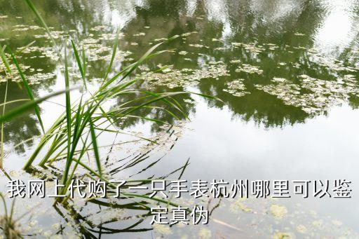 我网上代购了一只手表杭州哪里可以鉴定真伪