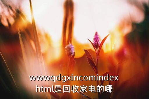 wwwqdgxincomindexhtml是回收家电的哪