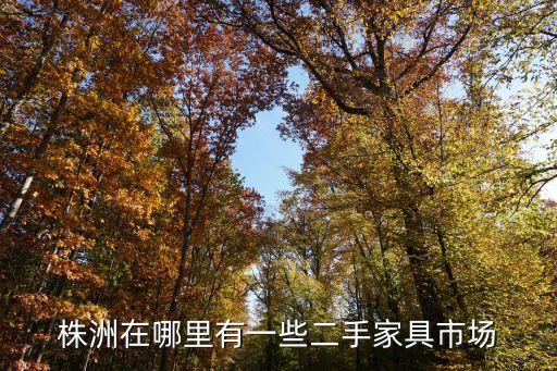 株洲旧家具回收，求助 株洲哪里有二手家具市场