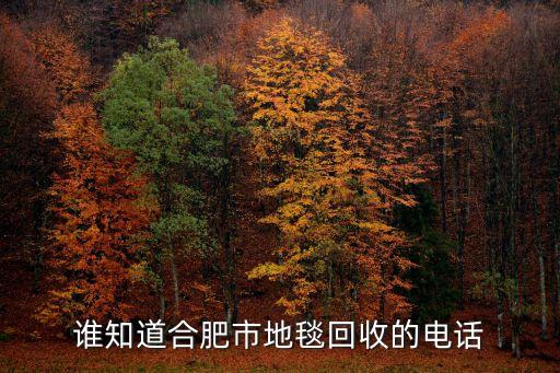 回收二手地毯电话多少，哪里有回收旧地毯的