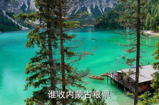 谁收内蒙古粮票