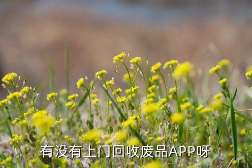 有没有上门回收废品APP呀