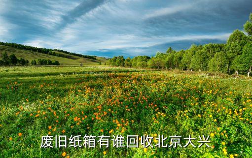 北京纸箱回收，废旧纸箱有谁回收北京大兴