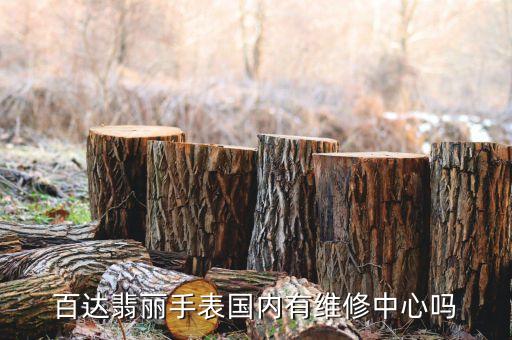 百达翡丽手表国内有维修中心吗