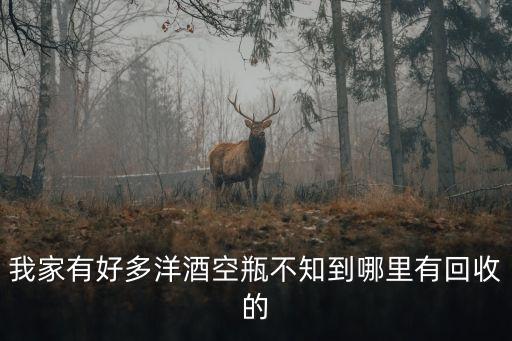 我家有好多洋酒空瓶不知到哪里有回收的