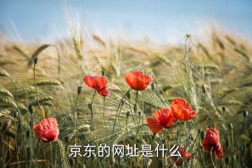 京东的网址是什么