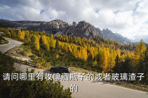 请问哪里有收啤酒瓶子的或者玻璃渣子的
