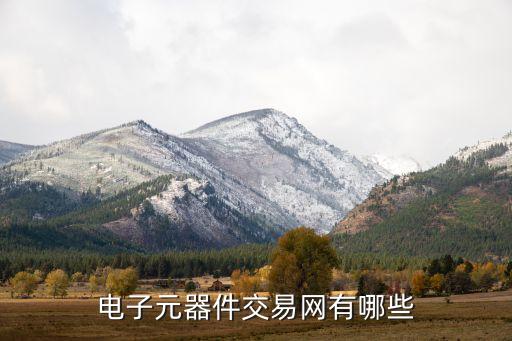 电子元器件回收平台，电子元器件交易网有哪些