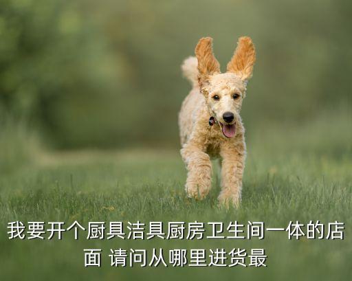 我要开个厨具洁具厨房卫生间一体的店面 请问从哪里进货最