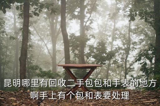 昆明哪里有回收二手包包和手表的地方啊手上有个包和表要处理