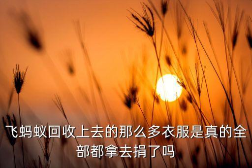 飞蚂蚁回收上去的那么多衣服是真的全部都拿去捐了吗