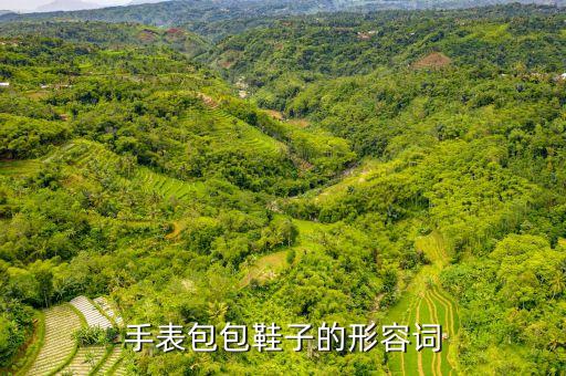 手表包包鞋子的形容词