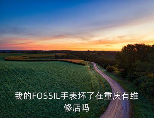 我的FOSSIL手表坏了在重庆有维修店吗
