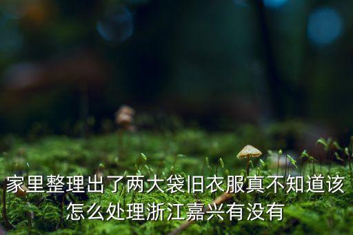 家里整理出了两大袋旧衣服真不知道该怎么处理浙江嘉兴有没有