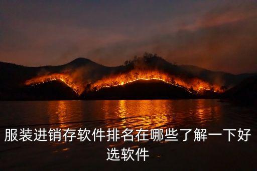 服装进销存软件排名在哪些了解一下好选软件