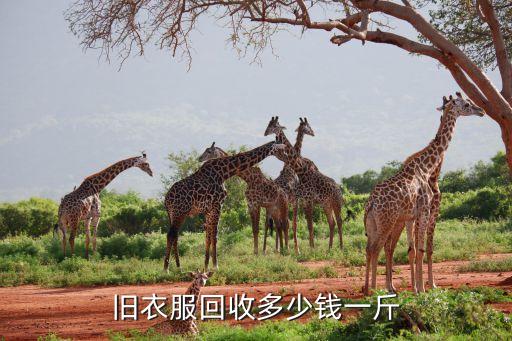 衣服库存回收的价位，旧衣服回收多少钱一斤