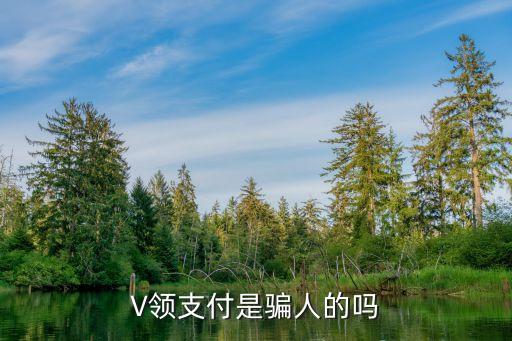 V领支付是骗人的吗