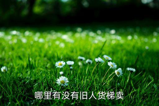 哪里有没有旧人货梯卖