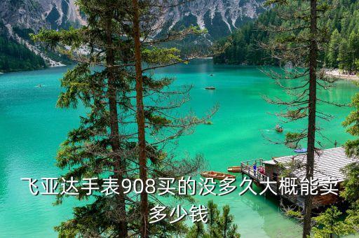 飞亚达手表908买的没多久大概能卖多少钱