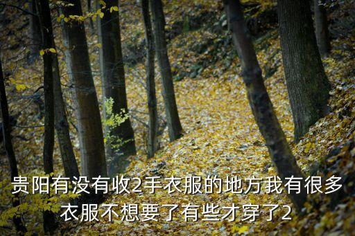 贵阳有没有收2手衣服的地方我有很多衣服不想要了有些才穿了2