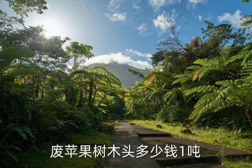 废苹果树木头多少钱1吨