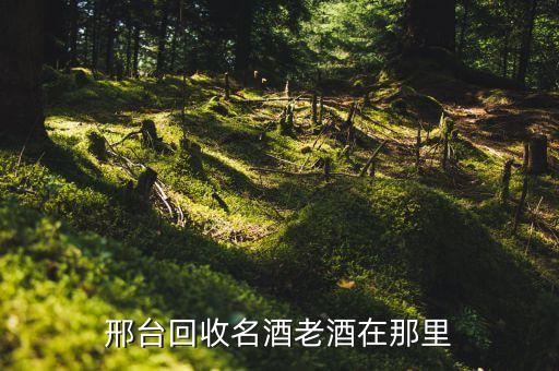 邢台回收名酒老酒在那里