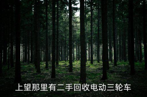 上望那里有二手回收电动三轮车