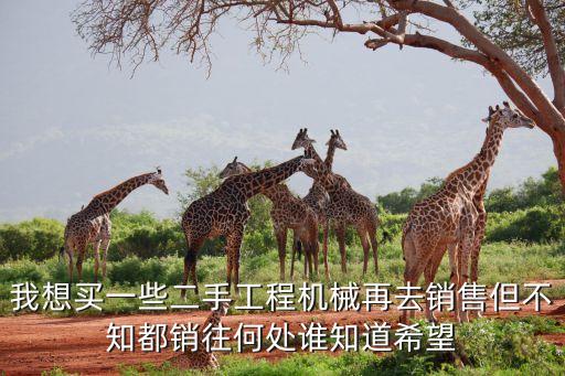 我想买一些二手工程机械再去销售但不知都销往何处谁知道希望