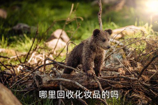 哪里回收化妆品的吗