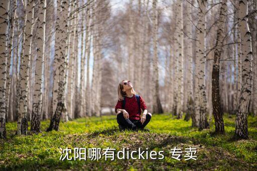 沈阳哪有dickies 专卖