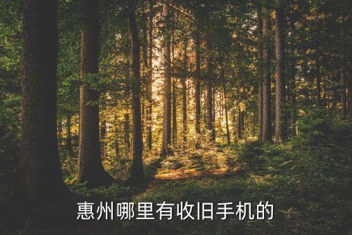 惠州哪里有收旧手机的