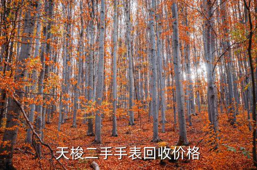 天梭二手手表回收价格