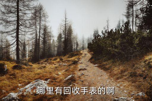 哪里有回收手表的啊