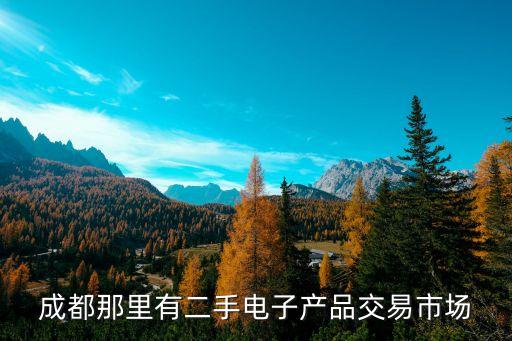 成都那里有二手电子产品交易市场