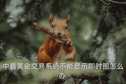 中鑫黄金交易系统不能显示即时图怎么办