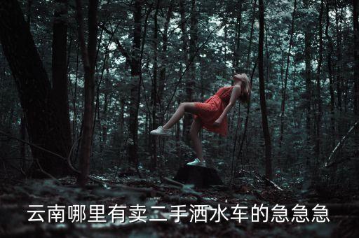 云南哪里有卖二手洒水车的急急急