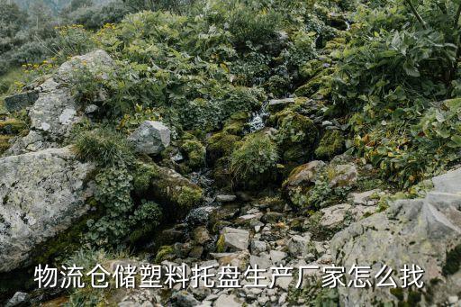 物流仓储塑料托盘生产厂家怎么找