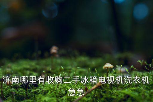 回收冰箱电话济南市，哪里有回收旧电器电话