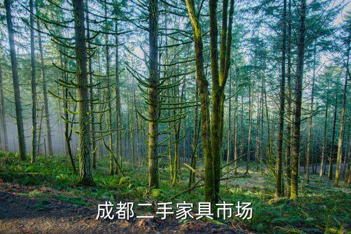 成都二手家具市场