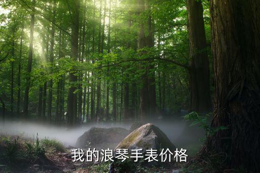 我的浪琴手表价格