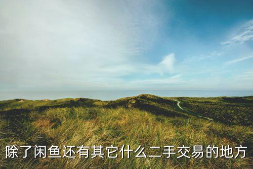 除了闲鱼还有其它什么二手交易的地方