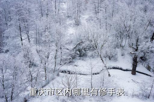 重庆市区内哪里有修手表