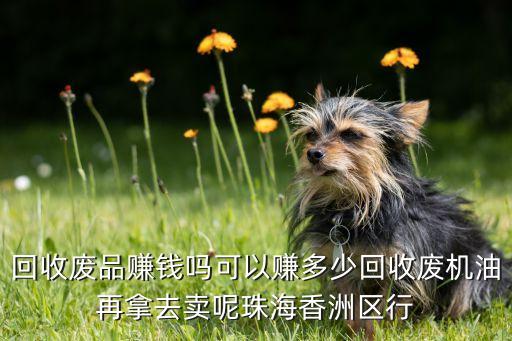 物资回收公司挣钱吗，做废品回收站赚钱吗